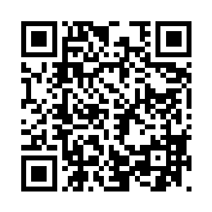 既然林封已经给他们展示了一个光明的未来二维码生成