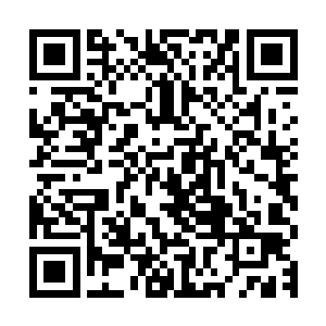 既然此子听到你说剩下两颗爆元丹在过了中四关与后四关再给予二维码生成