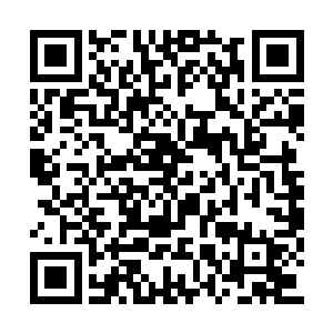 既然派出所的其他人不给王淑芳和王大力做笔录二维码生成