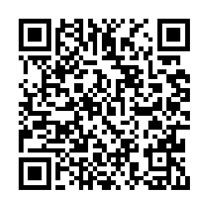 既然萨尔维想要唤起的是具有普遍性的共感……二维码生成
