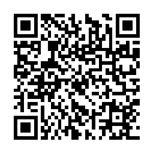 既然西楚的人特意派了人过来运送天花病患和尸体二维码生成