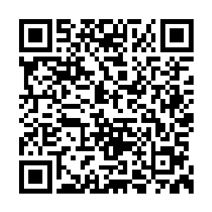 既然这一次我答应了蔡爷爷要到非洲处理这件事二维码生成