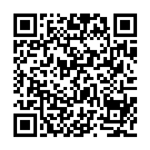 既然这位大长老宁愿脱离贵宗也要致我等于死地二维码生成