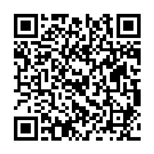 既然这把用的是璐璐这个前期对线能力一流的英雄二维码生成