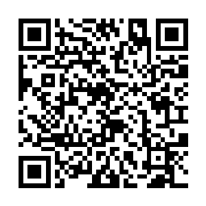 既然这样的话……那他们又为何还要自断一条手臂呢二维码生成