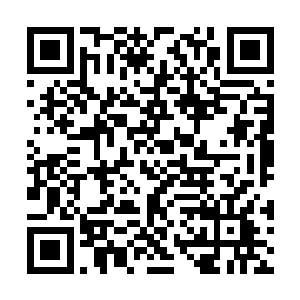 既然这毒已经彻底融入了狮王前辈的脉络血液当中二维码生成