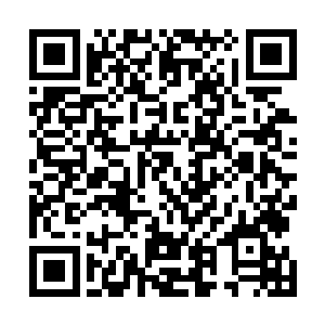 既然连南斗杨明治与北斗刘福荣两人的携手都被对方击败二维码生成