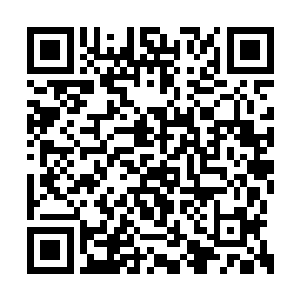 既然那些人在狗急跳墙之时敢于向县委书记下手二维码生成