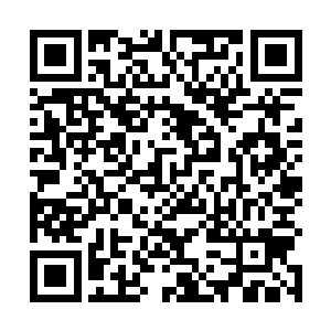既然那仙灵绿壤土和月华灵液并非是天地洪炉收集而出二维码生成