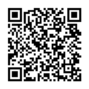 既然银花姥姥说神猿皇在往届有竞争前二甚至第一的能力二维码生成