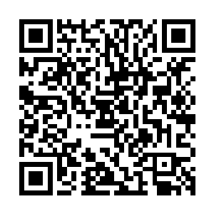 日军第二师团的所有将士几乎同时感觉到了东北方向巨大的震动二维码生成