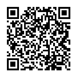 日后他们朱雀一族说不准还真的会面临灭顶之灾二维码生成