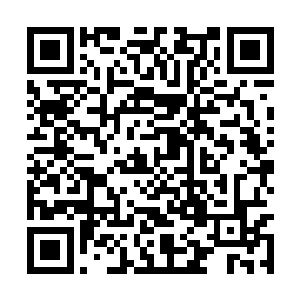 日后就算觉醒了血脉之力也不要有丝毫报仇的心思二维码生成