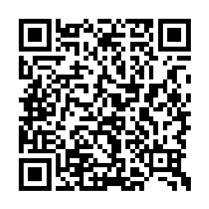 日后弟子小乾坤的天地伟力将会越来越纯粹凝练二维码生成