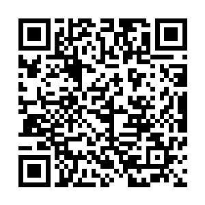 日后我们要是不和其他势力联合恐怕不会是秦宇他们的对手二维码生成