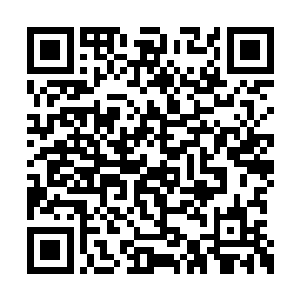 日后说不得会继承老永乐侯的衣钵成为骠骑将军二维码生成