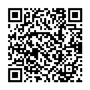 日子依旧在充满阳光和清新的氛围下过去了大半个月二维码生成