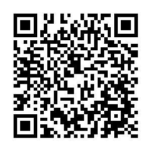 日常事宜都交给阿盏了……不知道白洛您准备怎么处理二维码生成