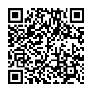 日族族长和月族族长不停地对星族族长发出攻击二维码生成