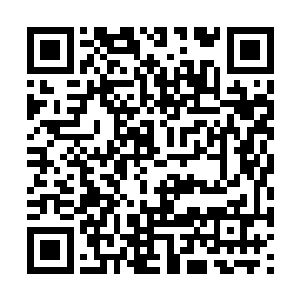 日族族长和月族族长也分别将自己手中的珠子祭出二维码生成