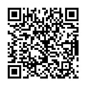 日日深陷在痛苦之中的墨修尧根本不想去理会脸上的伤痕二维码生成