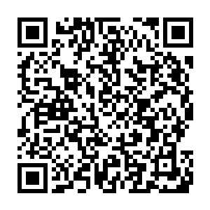 日暮帝国的这些机甲很可能是对方用来引诱他们发射防空炮火的诱饵二维码生成