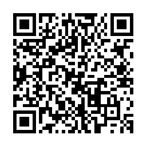 日曜九变就是他当年在水月洞天参悟九位先人遗泽而创下的法术二维码生成