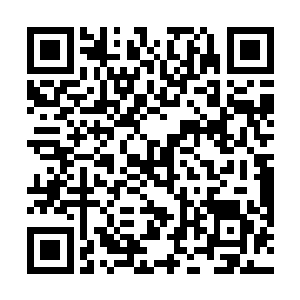 日月乾坤圈次次都在于吉老人家的背上留下深深的伤痕二维码生成