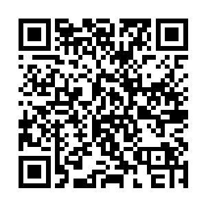 日月宗的裁判真人自然不会让阴阳公子先和叶星交手二维码生成