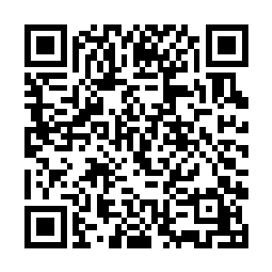 日月星三族族长看到许紫烟在顿悟倒是没有什么惊奇二维码生成