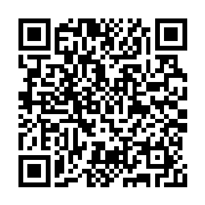 日月雨三族族长可都是圣级九层后期巅峰大修士二维码生成