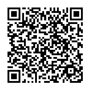 日本已经和吉布提签署了协议要在吉布提国际机辰近租地建设后勤补给基地二维码生成