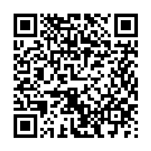 日本政府一定会要求美国对驻日美军下达戒严令进行调查二维码生成