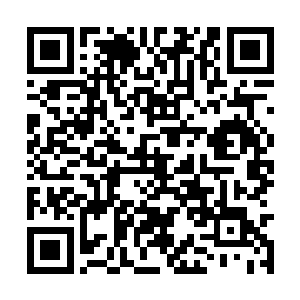 日本方面居然有高达数万的歌迷自发前去机场接驾二维码生成