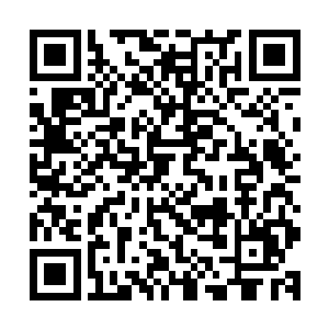 日本联合舰队当然不会傻到用航母上的舰载机去对付岸基飞机二维码生成