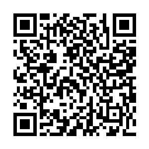 日耀城内的各方势力开始派出高层修士前来拜访星辰冒险团二维码生成