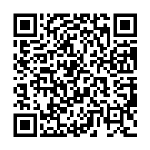 旧臣势力的所有修士全都是寄托在大将军的域界里的二维码生成