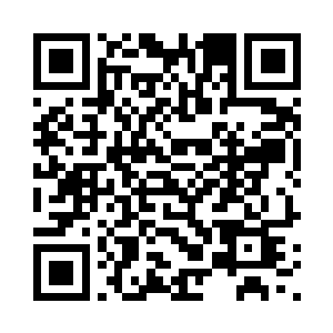 早上给你们每个猴子三个橡树果实二维码生成