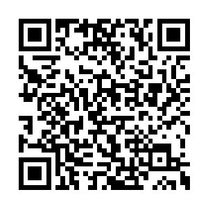 早上郭艳萍她妈给煮的苹果叫孩子给带学校来了二维码生成