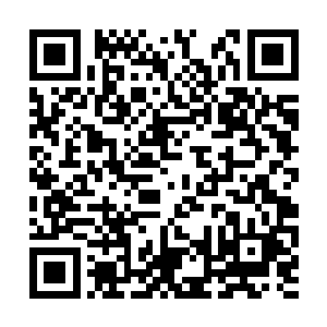 早前就已经和风苍国修王爷的女儿夜沁惜有了婚约二维码生成