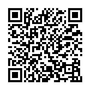 早回来的学生们也都大多窝在宿舍或者图书馆里二维码生成