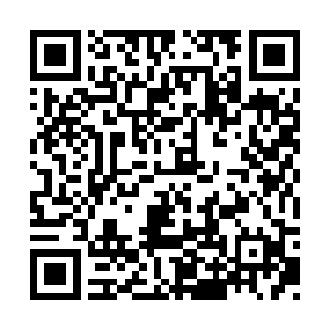 早在几千万年之前就可以侵蚀那时候的测试者了二维码生成