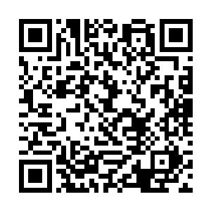 早在十八岁的时候他就已经付出了他所能付出的一切二维码生成