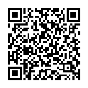 早在半个月以前苏凡就已经料到了北冥家族会派人来接触自己二维码生成