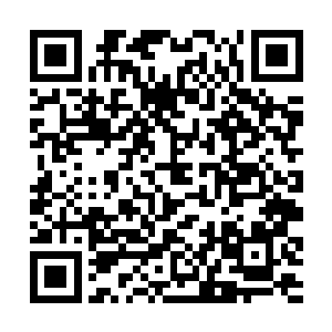 早在数日前便利用小怪鱼鲲的神奇敏锐感应搜刮一空二维码生成