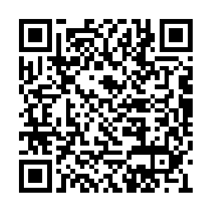 早在马文准备在黑骑士仓戈尔等人面前露脸之前二维码生成