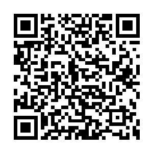 早就上去击败那个什么北地第一天才少女扬玲珑二维码生成