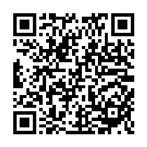 早就下定了决心要保护慕心怡和田蜜俩女的安全二维码生成