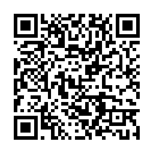 早就在招待客人的莫倩妮也注意到杨辰进到会场里二维码生成