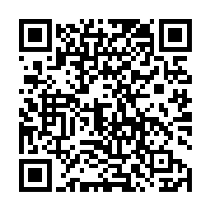 早就是一大堆渡过天雷后就是圣域四重天的超级天才了二维码生成